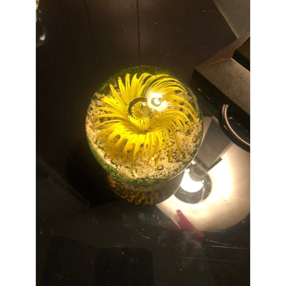 Art Glass Paperweight  ISP home - Picture 3 of 5